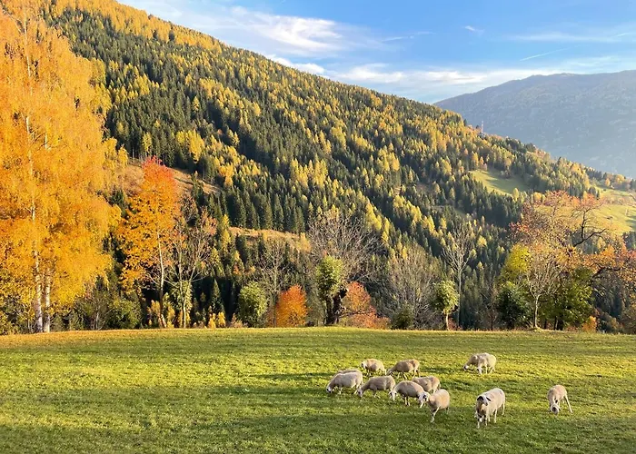 아파트 Dolcevita - Family Aparment 300 M From Slope